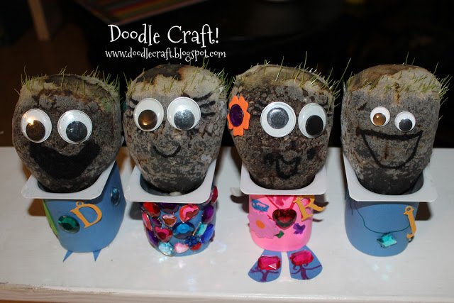 grass heads seedlings growing hair chia pets heads