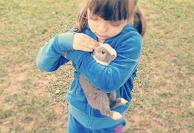 Captura de Tela 2013-12-16 às 23.37.56