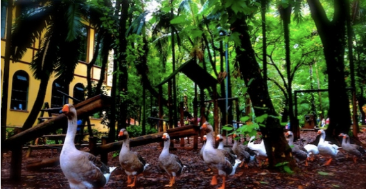 Captura de Tela 2013-12-26 às 23.20.47