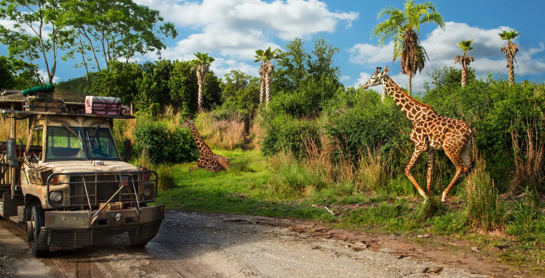 Animal Kingdom Disney Orlando Kilimanjaro Safari Just Real Moms